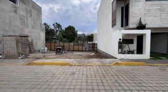 Lote “El Carril”