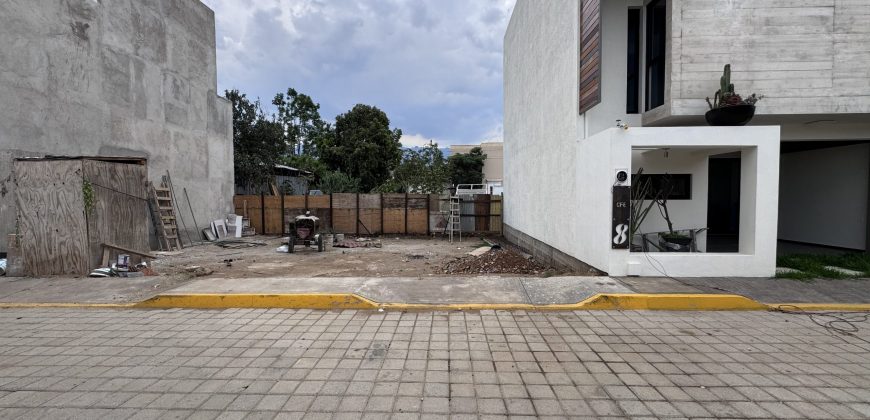 Lote “El Carril”