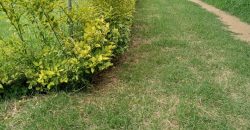 Terreno en Tlalixtac de Cabrera