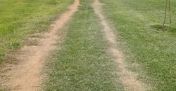 Terreno en Tlalixtac de Cabrera