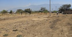 Lote Tierra Negra