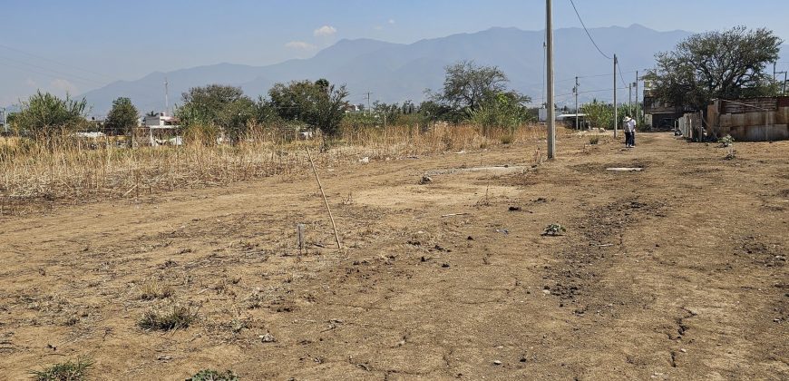Lote Tierra Negra