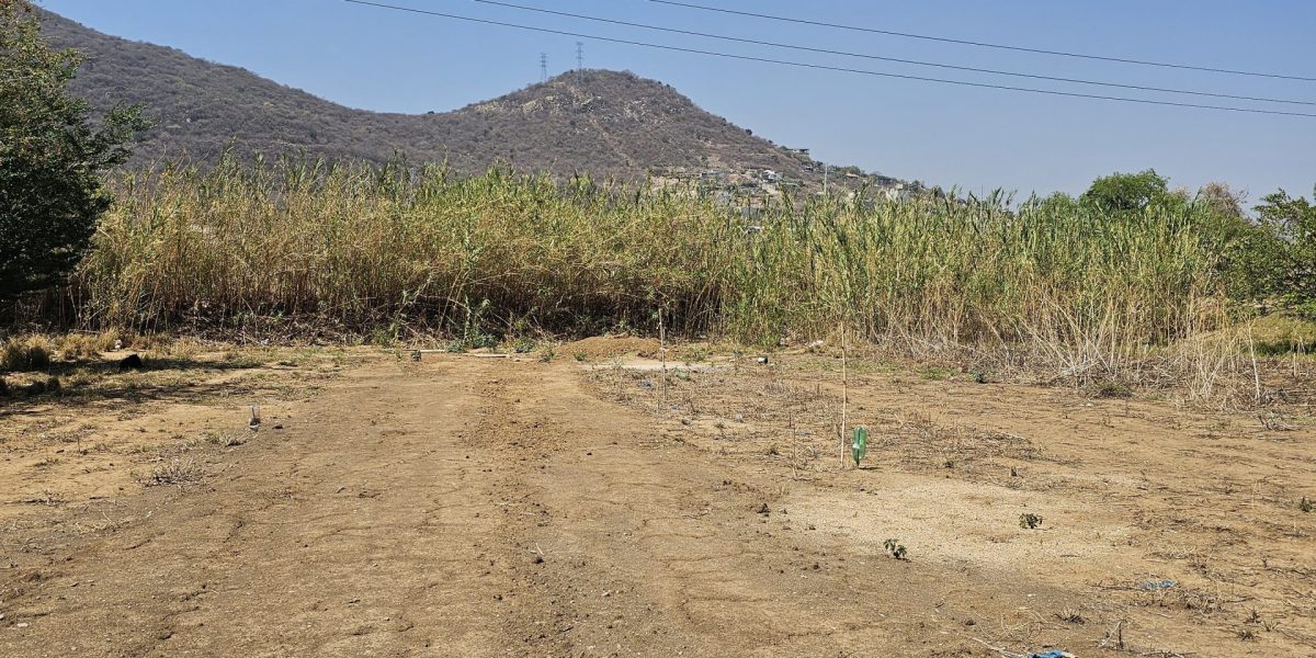 Lote Tierra Negra