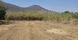 Lote Tierra Negra