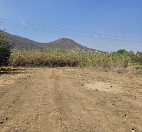 Lote Tierra Negra