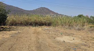 Lote Tierra Negra