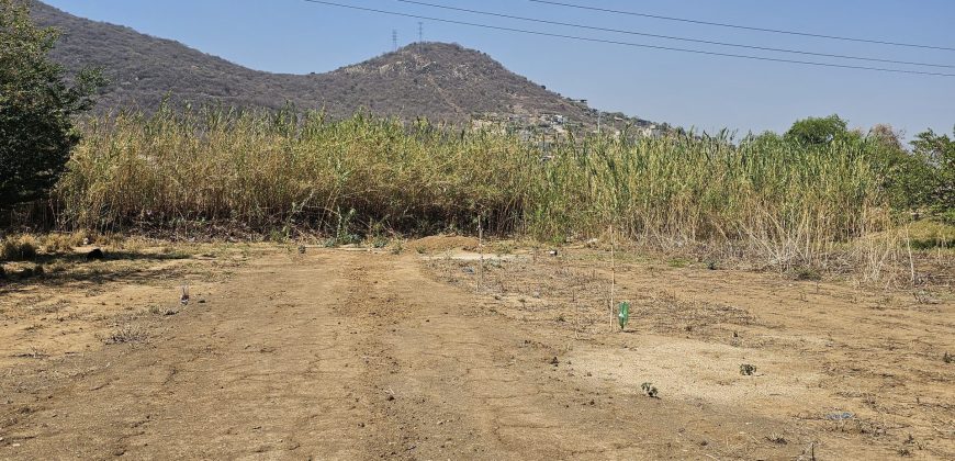 Lote Tierra Negra